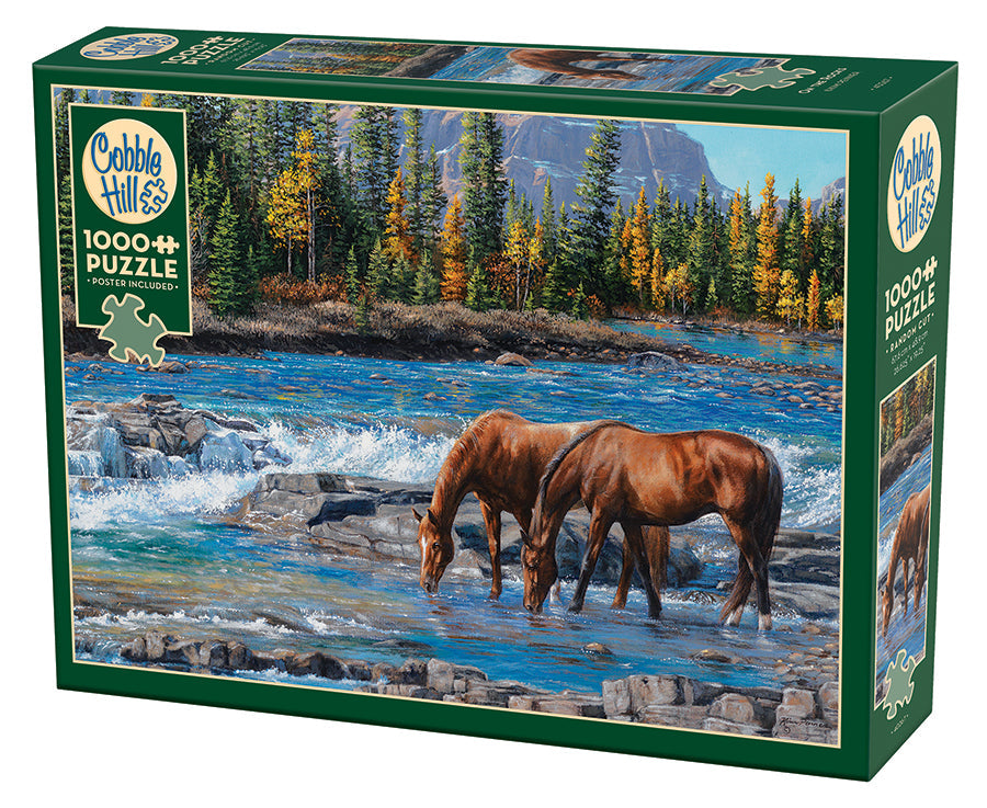 Cobble Hill On the Rocks 1000 pc Puzzle | Pandora's Boox