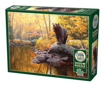 Cobble Hill Puzzle: Black Bear Pond