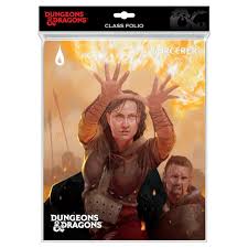 Dungeons & Dragons Character Folio: Sorcerer