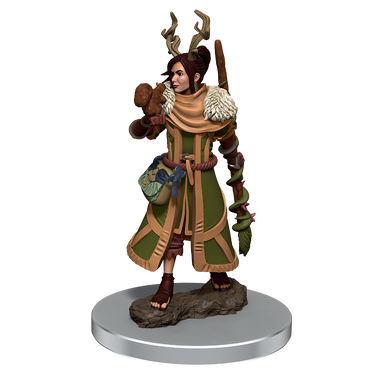 Icons of the Realms: Human Druid Female Premium Figure