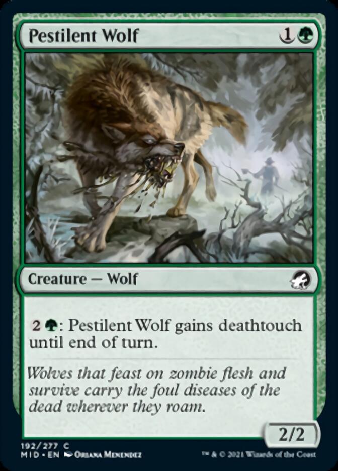 Pestilent Wolf [Innistrad: Midnight Hunt] | Pandora's Boox