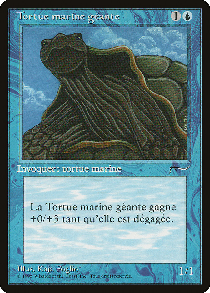 Giant Tortoise (French) - "Tortue marine geante" [Renaissance] | Pandora's Boox