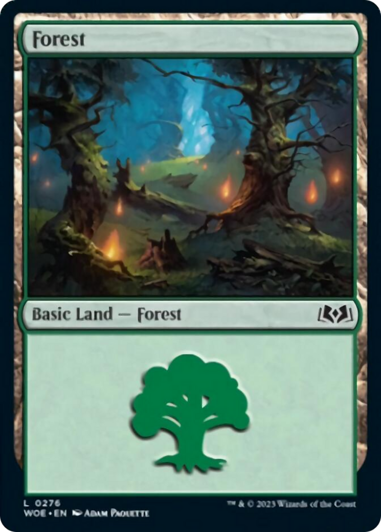 Forest (0276) [Wilds of Eldraine] | Pandora's Boox