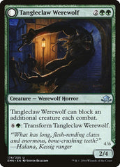 Tangleclaw Werewolf // Fibrous Entangler [Eldritch Moon] | Pandora's Boox
