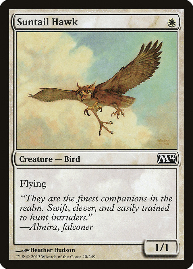 Suntail Hawk [Magic 2014] | Pandora's Boox