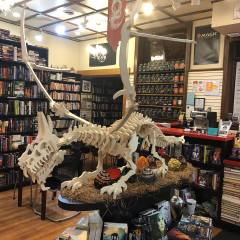 Dragon Skeleton - Kit