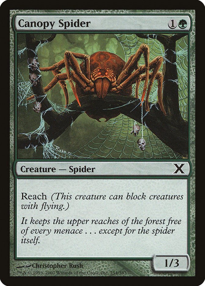 Canopy Spider [Tenth Edition] | Pandora's Boox