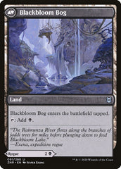 Blackbloom Rogue // Blackbloom Bog [Zendikar Rising] | Pandora's Boox