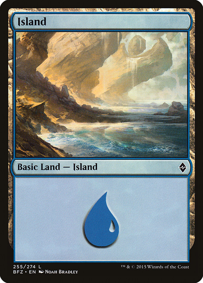Island (255) [Battle for Zendikar] | Pandora's Boox