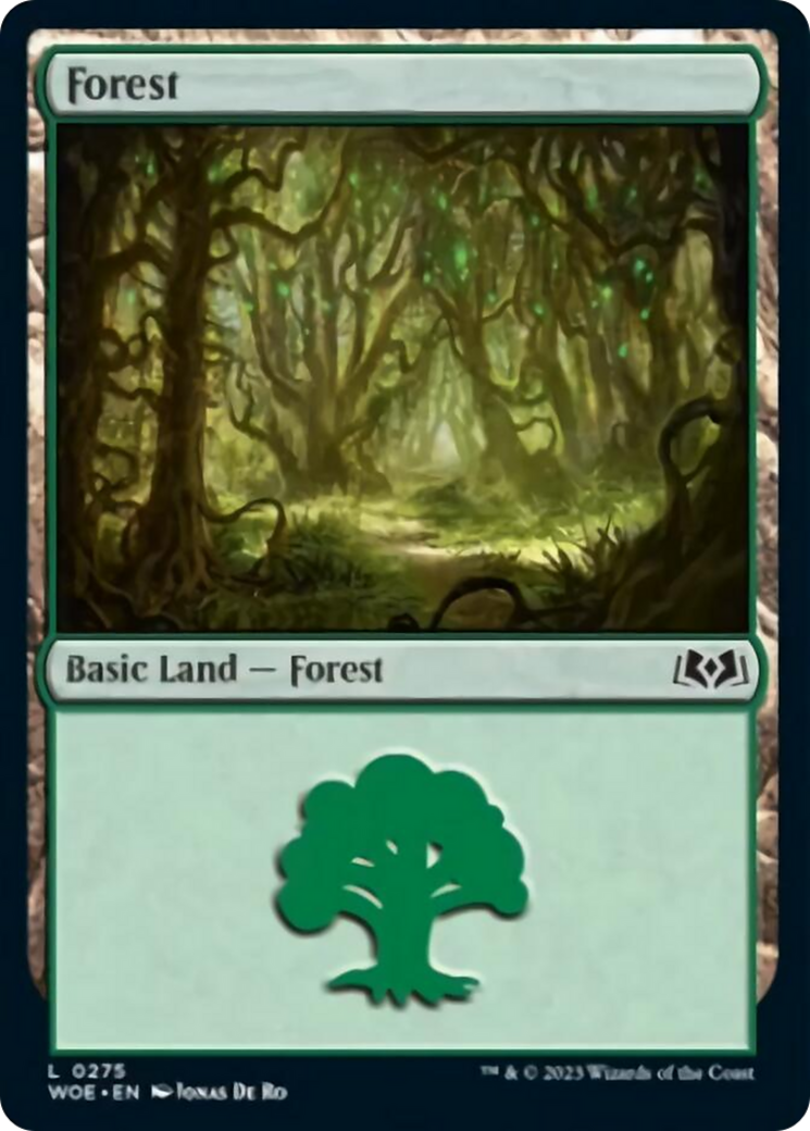 Forest (0275) [Wilds of Eldraine] | Pandora's Boox