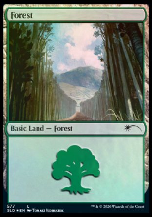 Forest (Walls) (577) [Secret Lair Drop Promos] | Pandora's Boox