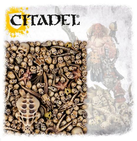 Citadel Skulls | Pandora's Boox