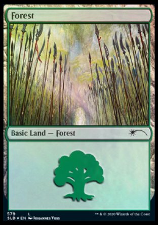 Forest (Elves) (579) [Secret Lair Drop Promos] | Pandora's Boox