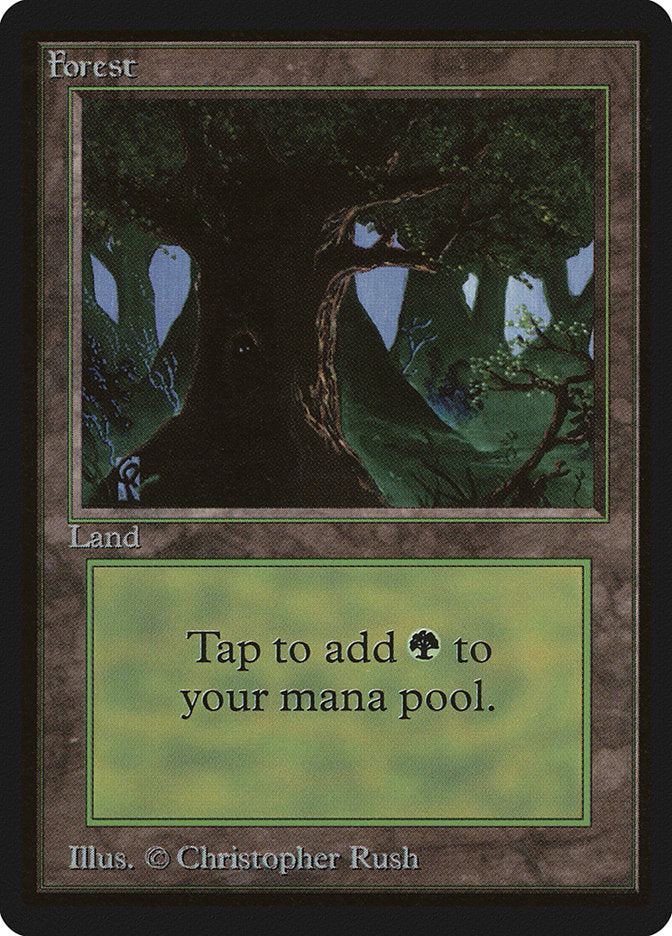 Forest (302) [Beta Edition] | Pandora's Boox
