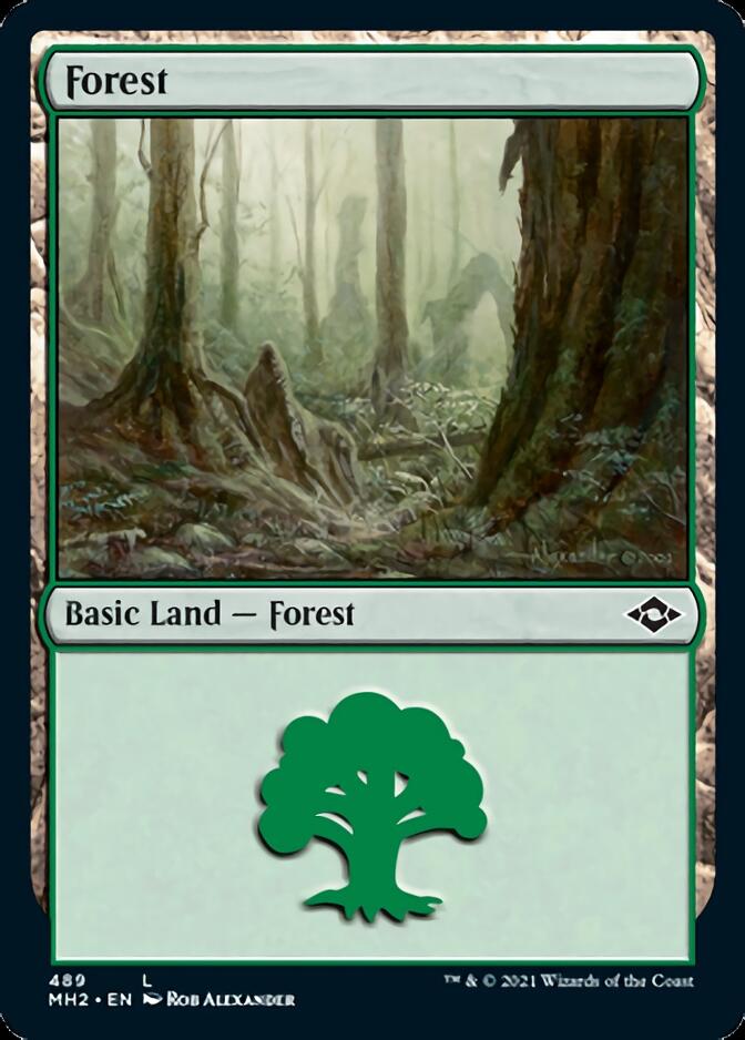 Forest (489) [Modern Horizons 2] | Pandora's Boox