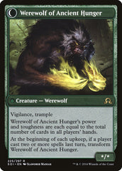 Sage of Ancient Lore // Werewolf of Ancient Hunger [Shadows over Innistrad] | Pandora's Boox